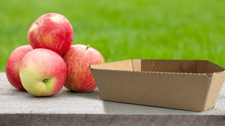 Vier Äpfel neben einer Kartonschale.