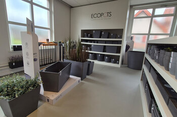 Ausschnitt aus Showroom Garden