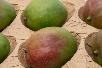 Mangos liegen in Alveolen aus braunem Papier. 