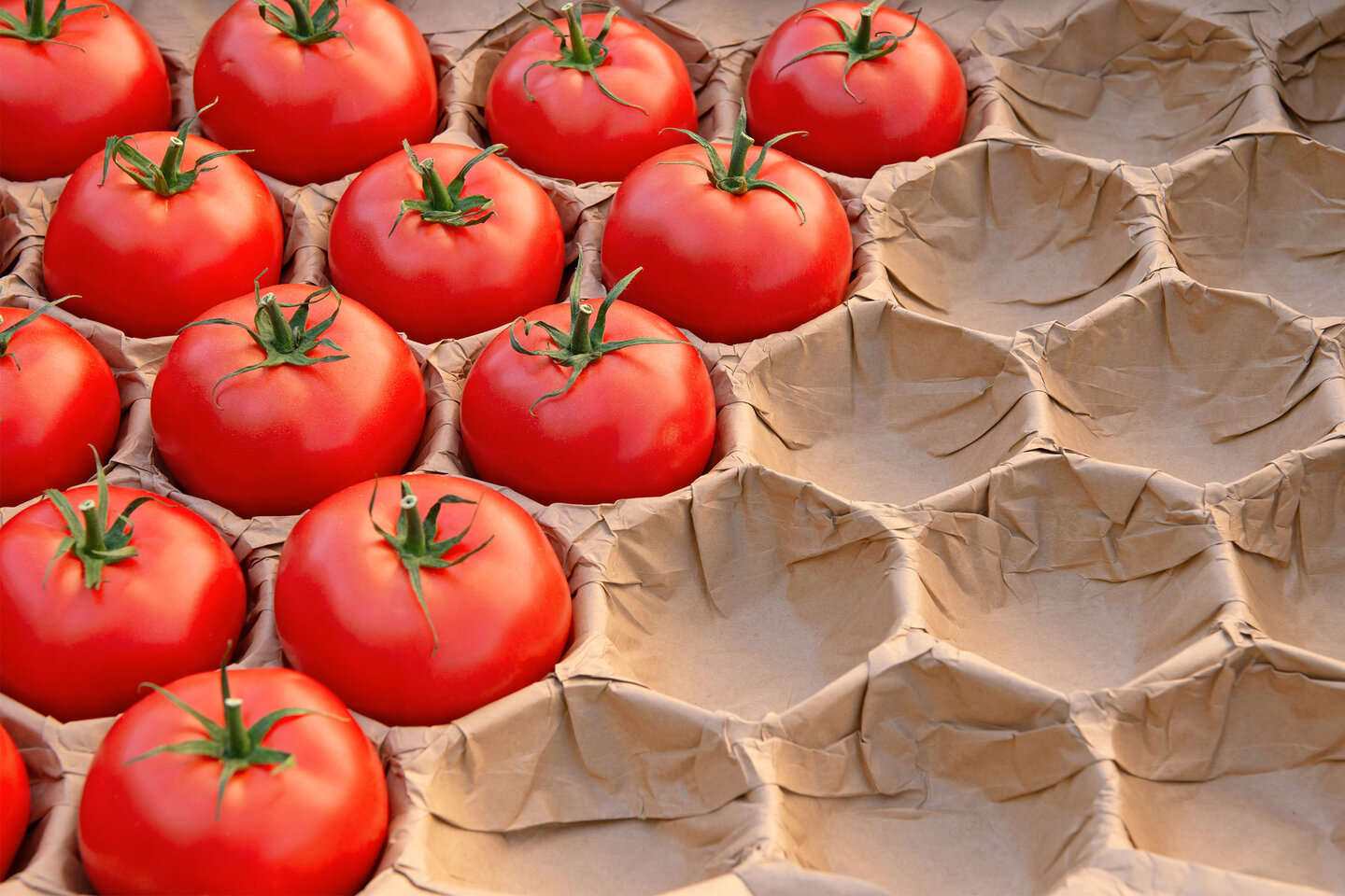 Mehrere Tomaten liegen sicher in braunen Alveolen aus Papier. 
