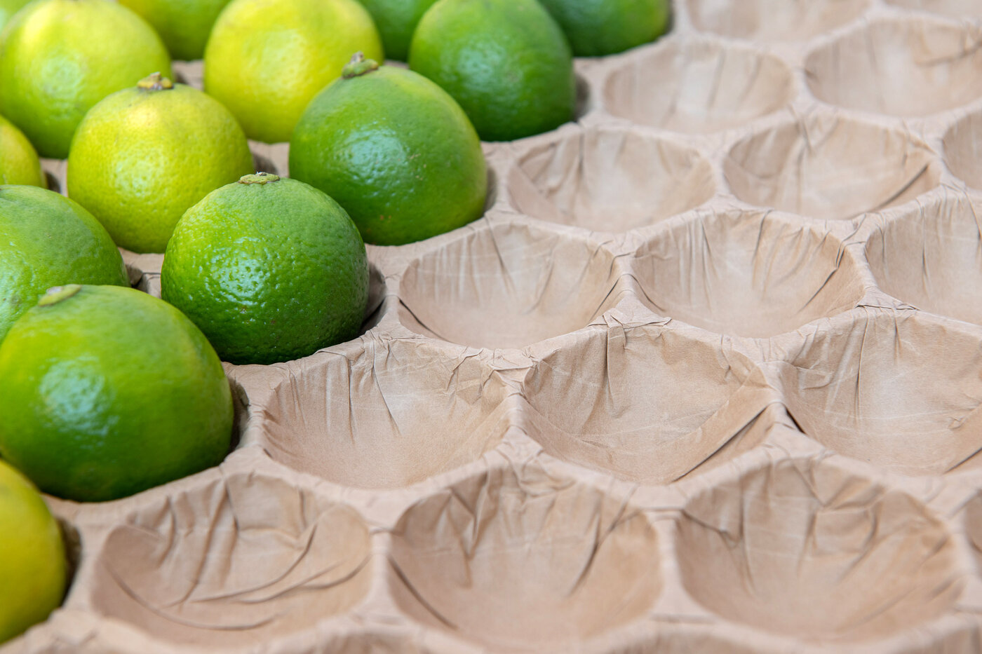 Limetten liegen geschützt in Alveolen aus Papier. 