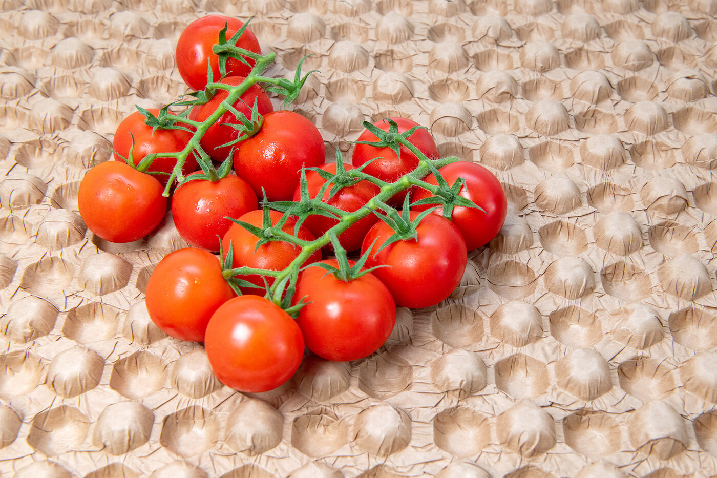 Zwei Rispen Kirschtomaten auf einem Bubble Tray. 