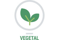 Piktogramm mit zwei Pflanzenblättern 