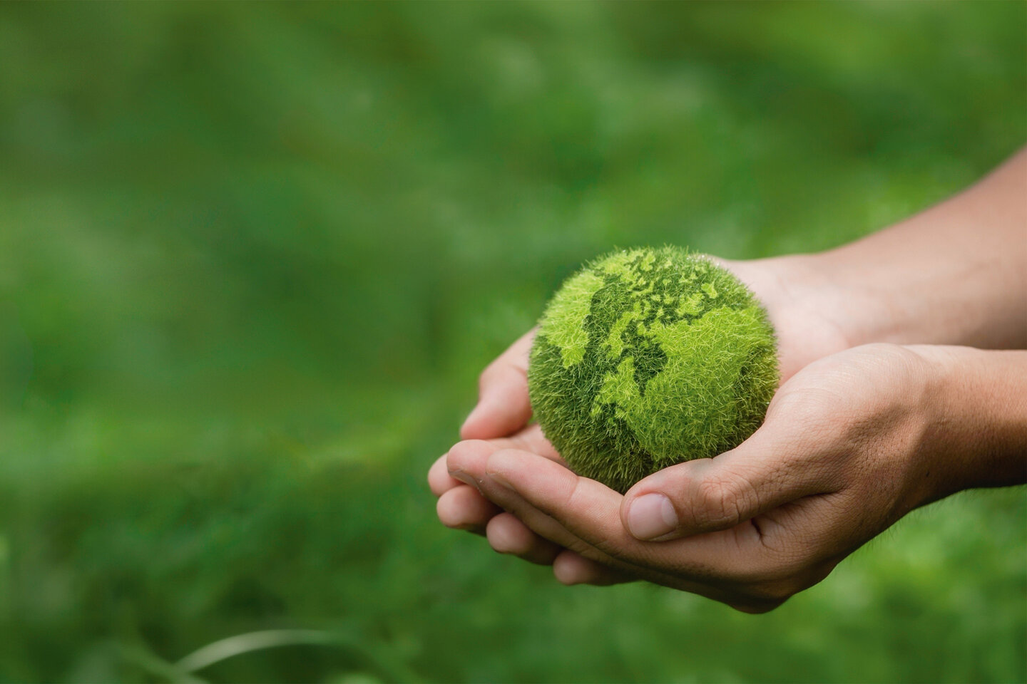 Zwei Hände tragen eine tennisball-grosse grüne Filz-Erdkugel. 