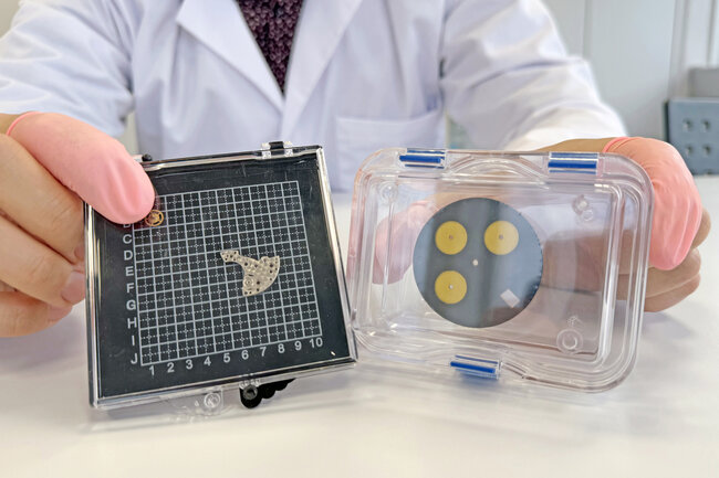 Eine Membranbox und eine Stickybox mit verschiedenen kleinen Uhrenteilen