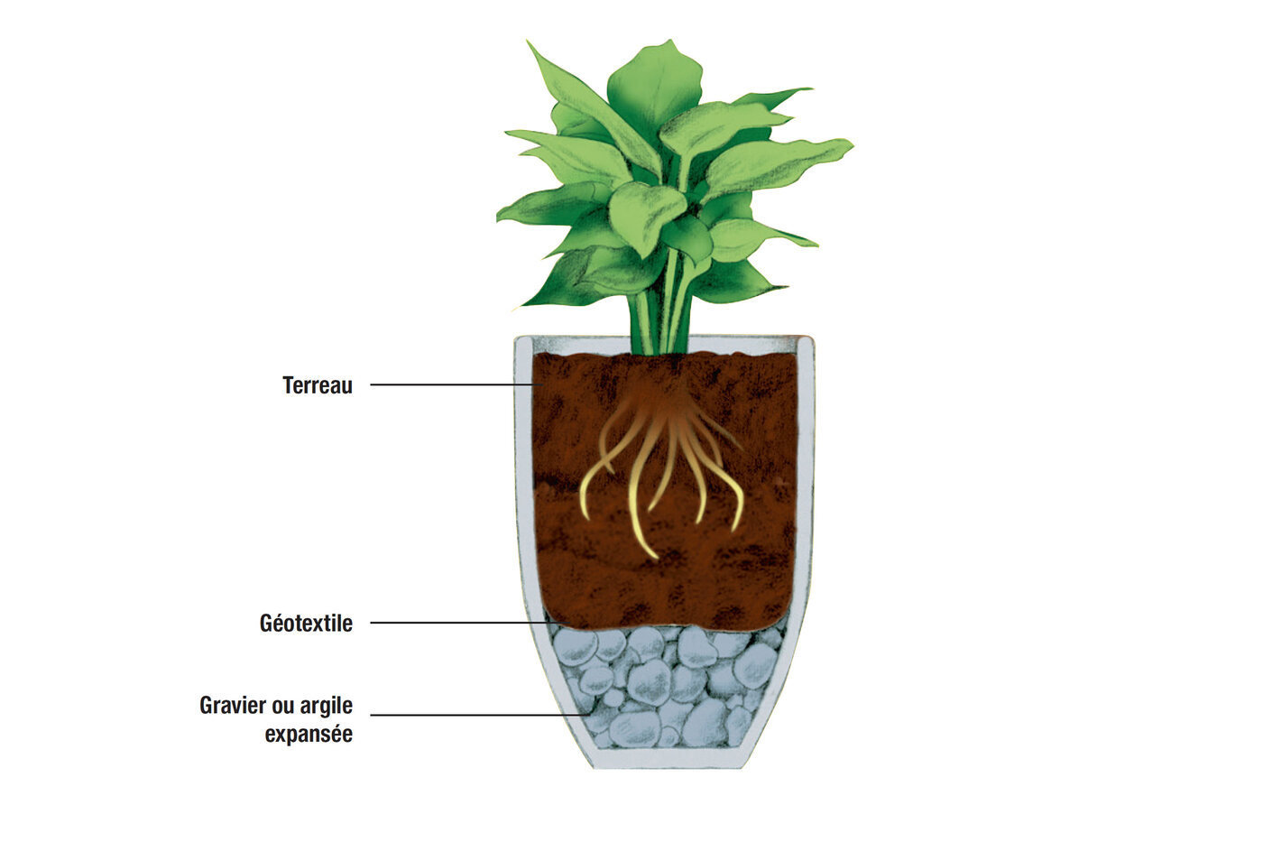 Coupe transversale dessinée d'un pot rempli dans les règles de l'art avec explication des différentes couches