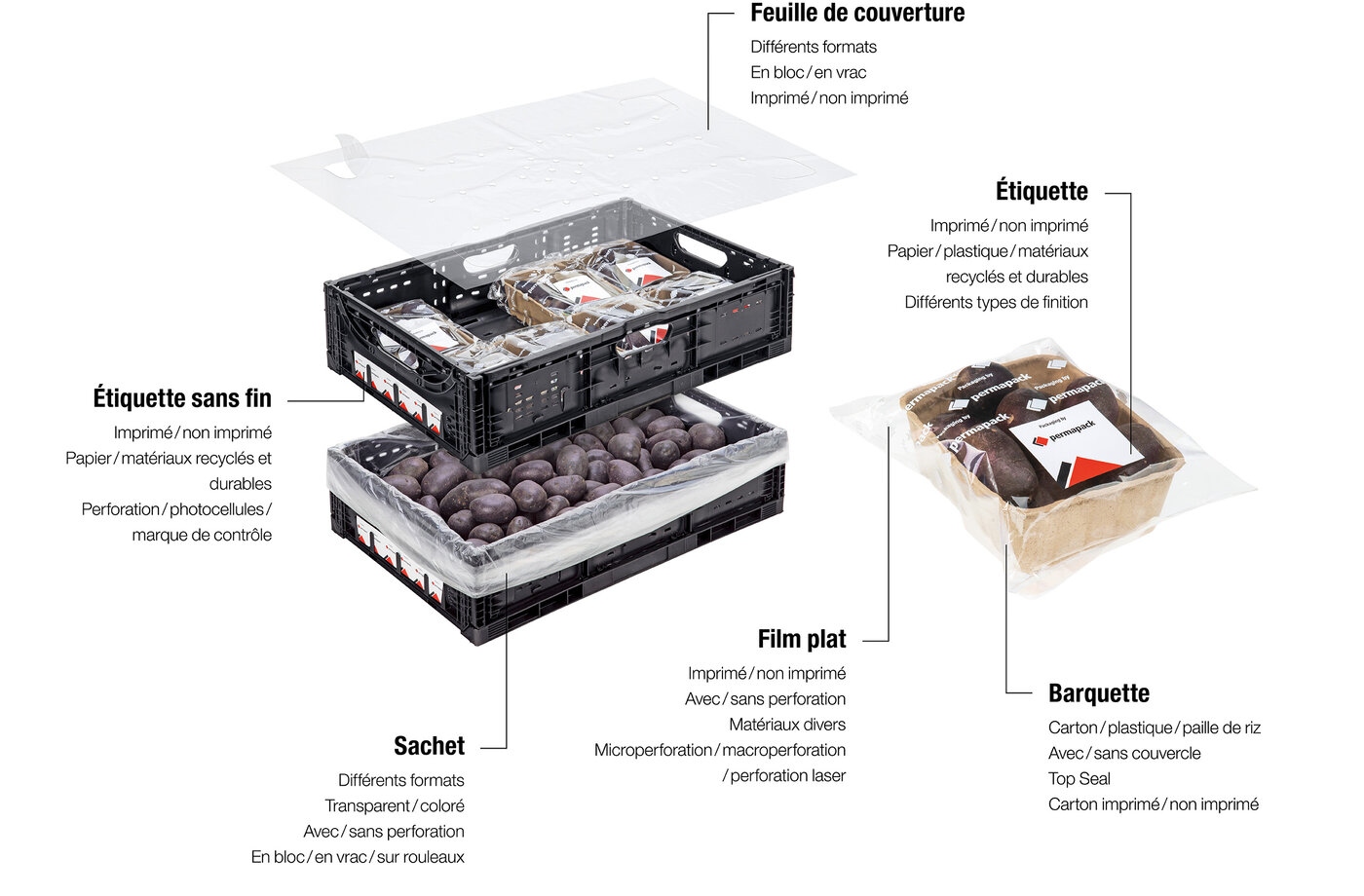 Étiquettes, sachets, films plats, barquettes et couvertures de caisses pour le secteur de l'est et des légumes. 