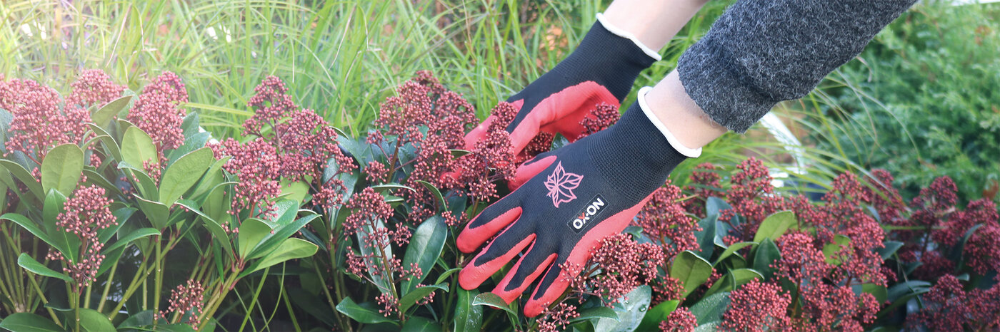 Arbeitshandschuhe der Marke ox-on beim Gärtnern