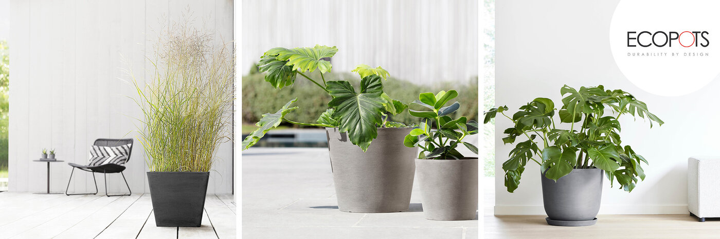 Stimmungsbilder mit bepflanzten Pflanzengefässen der Marke Ecopots