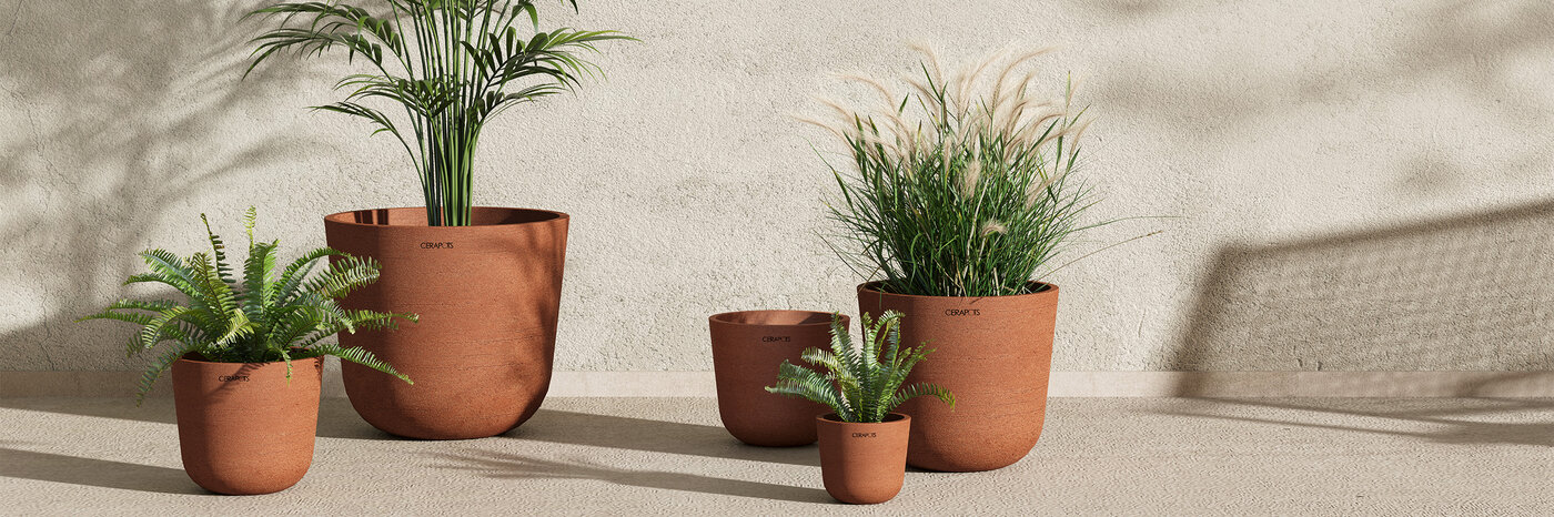 Verschiedene Zimmerpflanzen in Pflanzentöpfen von Cerapots