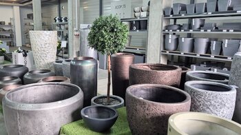 Auf den Boden und in Regalen stehen Pflanzgefässe und in der Mitte steht ein künstlicher Baum.