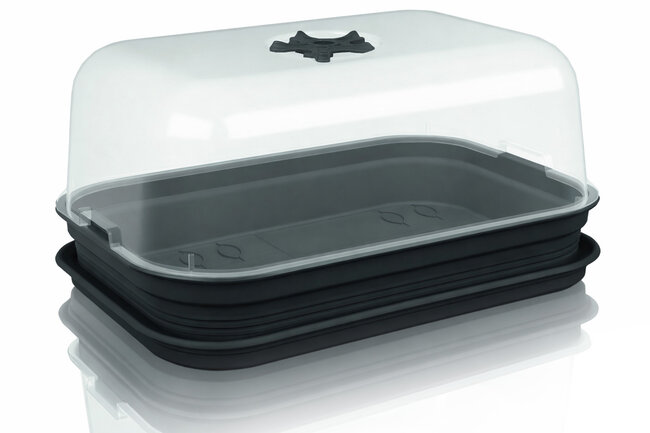 Auf einer schwarzen Anzuchtschale ist ein transparente Haube platziert.